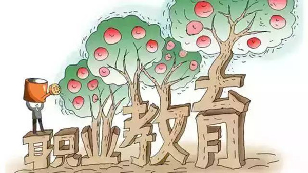 分类管理，高效培育职教“第一资源”