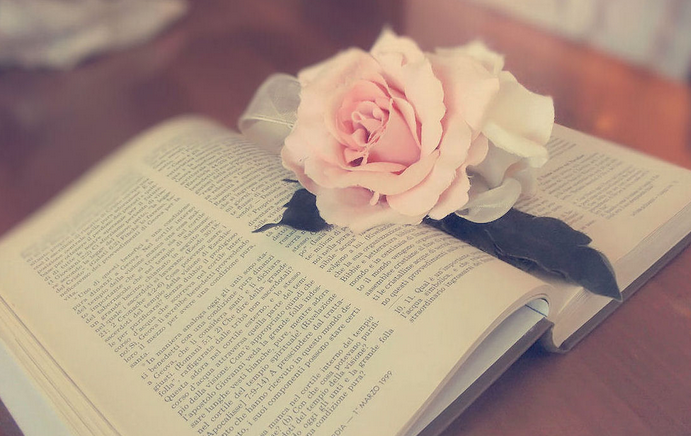 构建新型职教教师培养培训体系