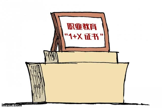 教育部等四部门印发《关于在院校实施“学历证书+若干职业技能等级证书”制度试点方案》的通知